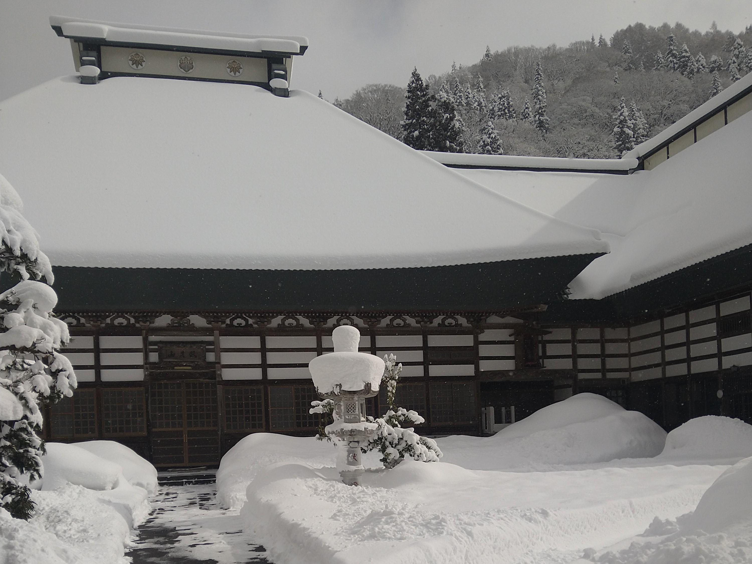 冬の本堂